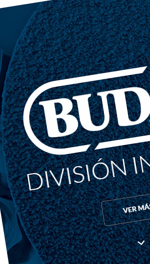 Budai SA - Nuevo sitio web totalmente responsive.